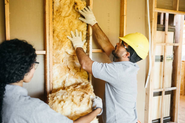 Eco-Friendly Insulation Solutions in Socorro, TX